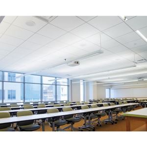 3461_1_additional image.jpg image